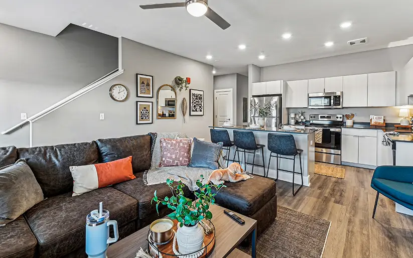 furnished living space